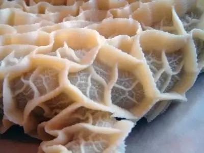 خواص سیراب شیردان